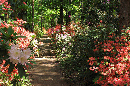 forrás: vasmegye.hu