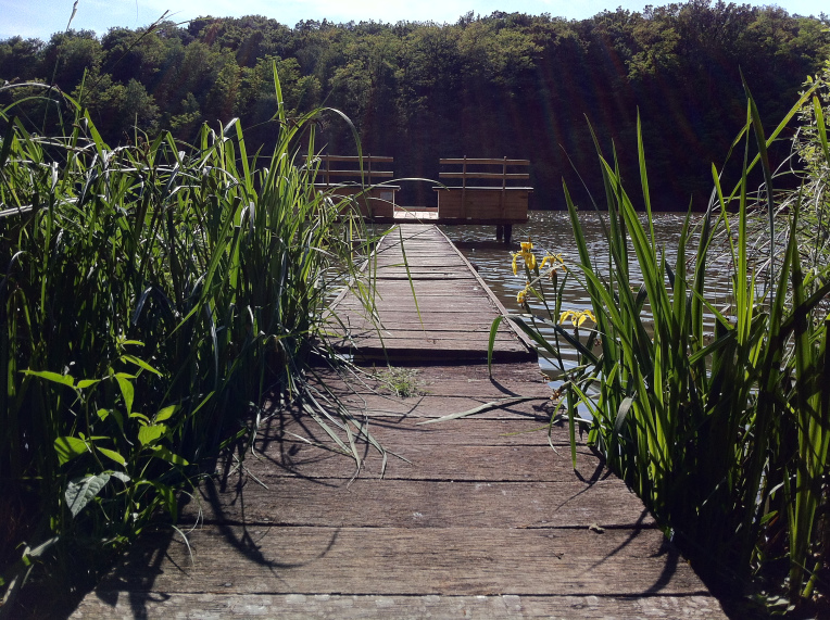 forrás: borostyanto.hu